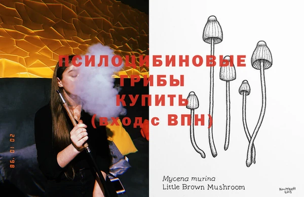 скорость Алзамай